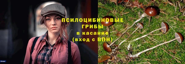 твердый Балабаново