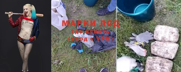 СК Семилуки