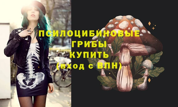 mdpv Белокуриха