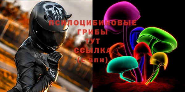 mdpv Белокуриха