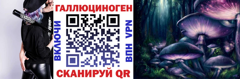 omg маркетплейс  магазин продажи   Жиздра  Псилоцибиновые грибы Cubensis 